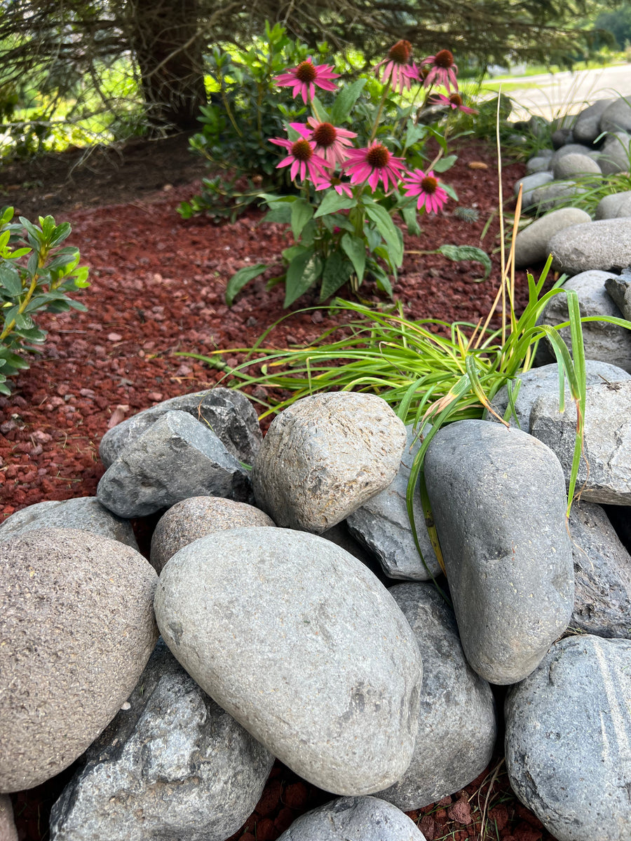 Discover the Timeless Beauty of Gladstone Beach Pebbles in Your Landsc